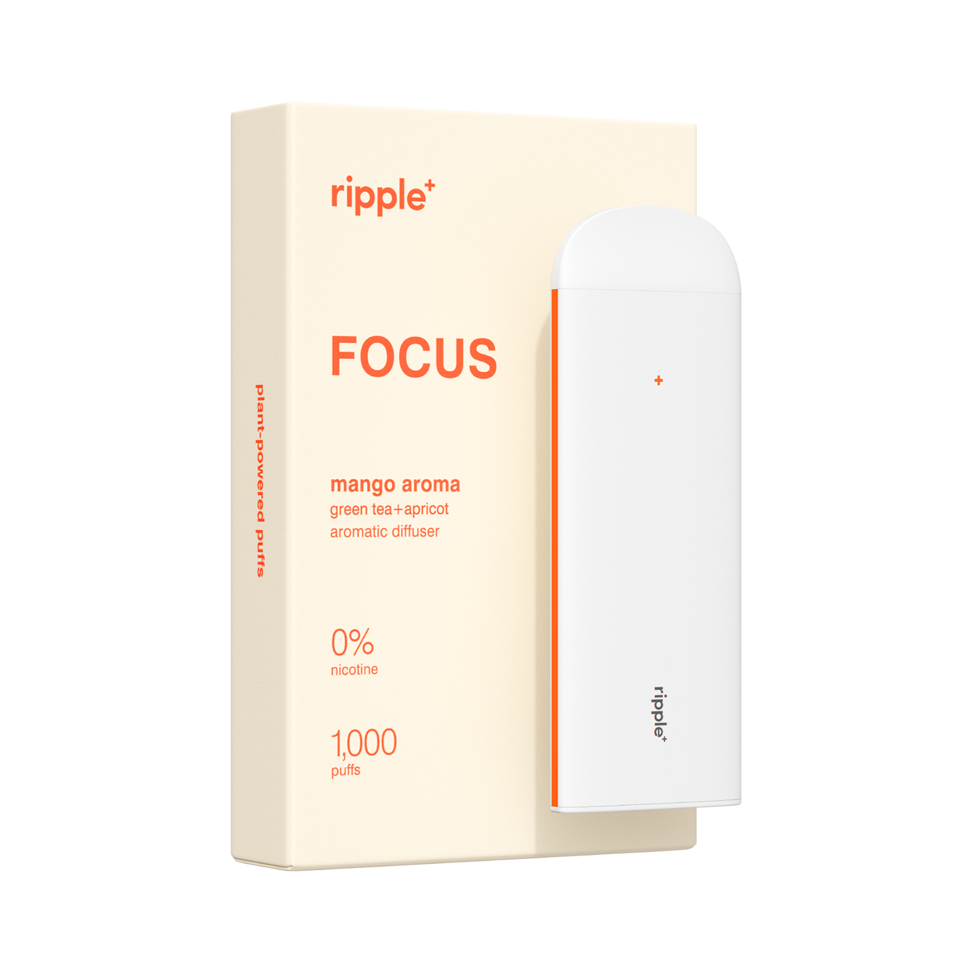 Focus