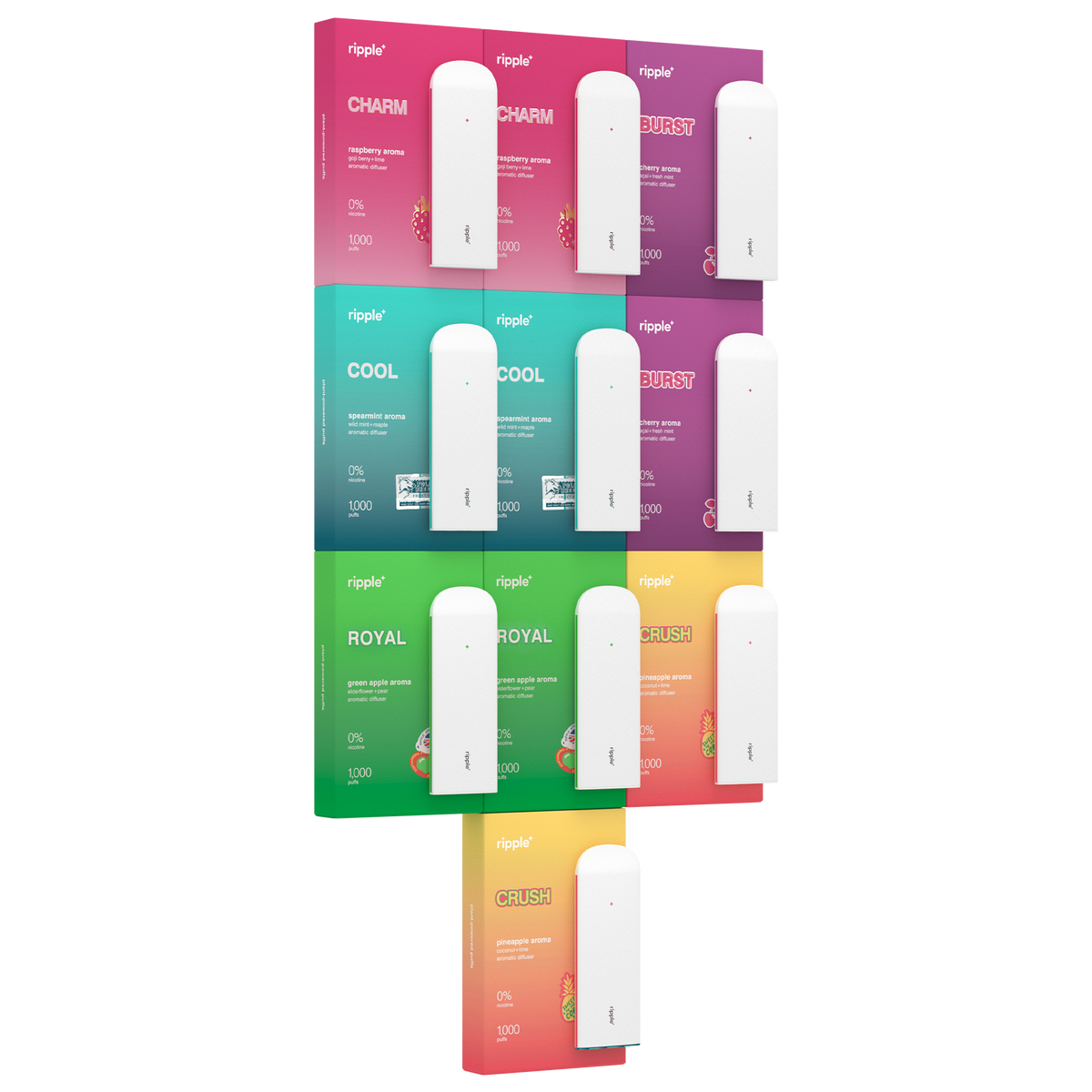 Limited Bundle