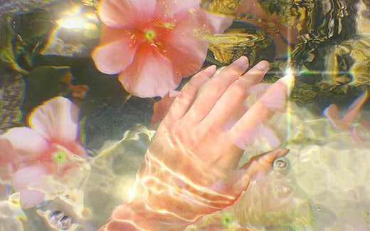 Underwater hand reaching out for flower 