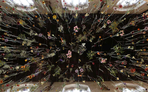 Flowers hanging from a ceiling