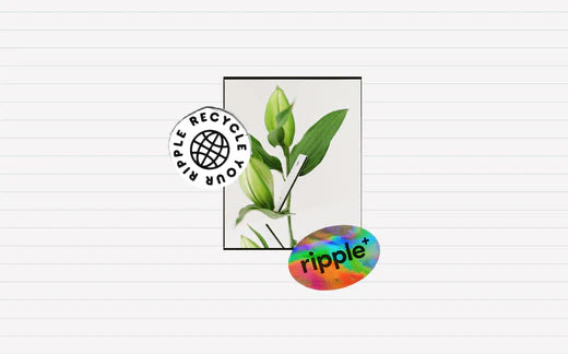 Collage of ripple stickers and plant photo