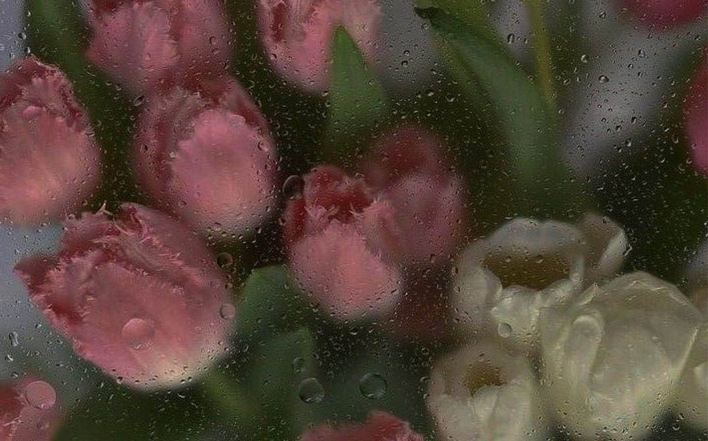 Tulips through wet window - 3 alternatives to smoking - Ripple+