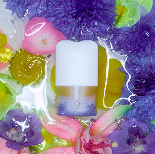 chamomile aroma